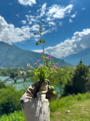 Our journey photo: path and mountain views near Lake Como
