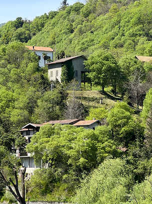 Our journey photo: passive house inspiration in nature